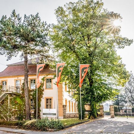 Stadtschloss Hecklingen*** Hecklingen  Экстерьер фото