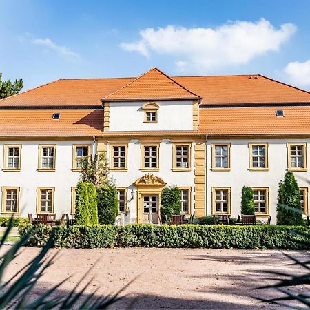 Stadtschloss Hecklingen*** Hecklingen  Экстерьер фото